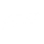 Seraphic Soar (Passive)