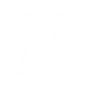 Shielded Stance