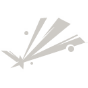 Ricochet Force