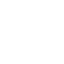 Prehistoric Partner