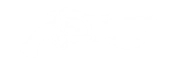 Double-barrel Blaster