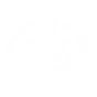 Moonlit Slash team-up icon