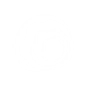 Guardian Shield
