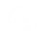 Star Blossom team-up icon