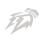 Jetpack Dash ability icon
