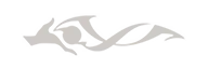 Chaos Control ability icon
