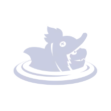 Ducky Dip