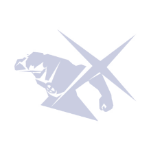 X-Beam