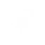 Lightning Claw