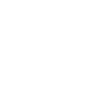 Fox Form Awakening