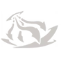 Kraken Impact ability icon