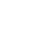 Phoenix Warrior