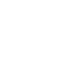 Undying Animal